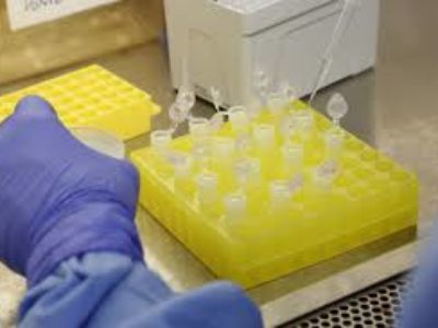 OMS aguarda testes clínicas  para remédios contra coronavírus