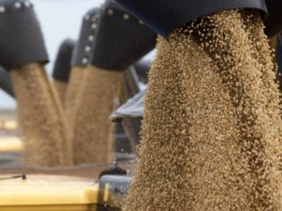 Exportações de grãos não estão  sendo afetadas, afirma Anec