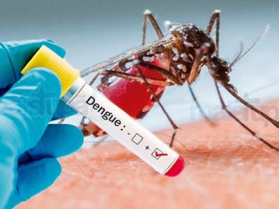 Método utiliza mosquitos para combater dengue