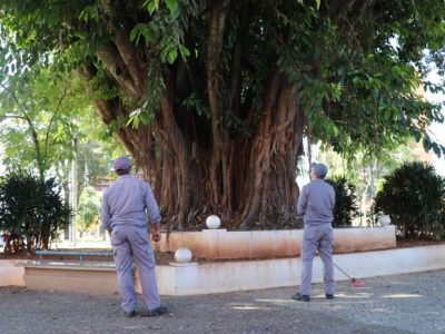 Prefeitura promove desratização em árvore na praça Saturnino de Brito