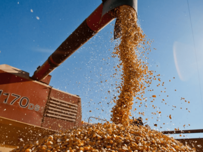 Produtores de grãos negociam  safra que ainda não foi plantada