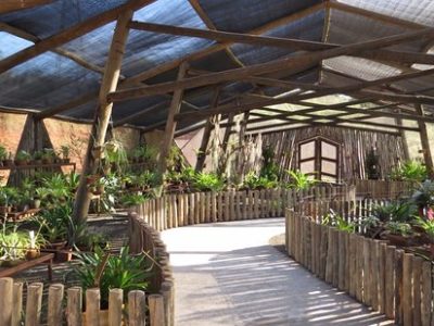 Jardim Botânico de Bauru está com inscrições abertas para o curso de férias