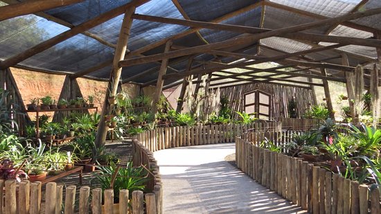 Jardim Botânico de Bauru está com inscrições abertas para o curso de férias