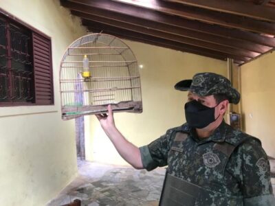 Polícia Ambiental aplica multas em criadores de pássaros
