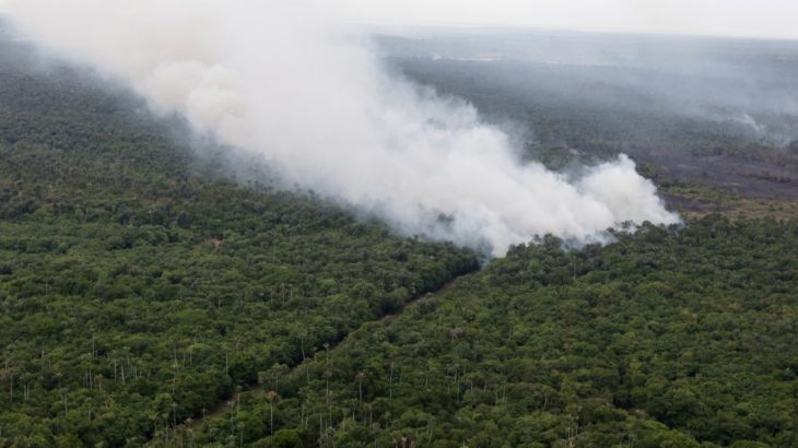 Em carta a Mourão, países da Europa cobram contenção do desmatamento na Amazônia