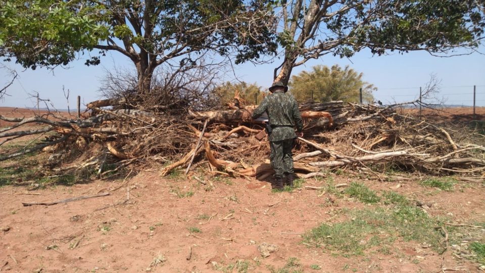 Polícia multa fazenda em R$ 17 mil por destruir vegetação de APP