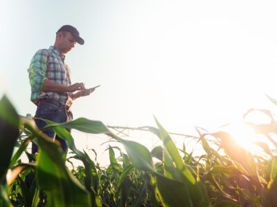 Estudo revela empresas com mais inovação aberta no agro