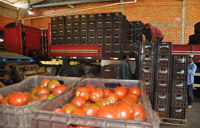 Preço da caixa de tomate e folhas dobram em Marília, diz Ceagesp