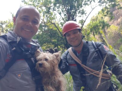 Bombeiros resgatam cão que caiu em despenhadeiro