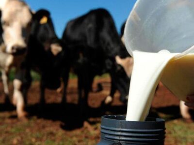 Preço do leite em SC registra em setembro 2º maior patamar da história