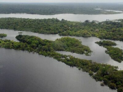 95% da população acredita ser possível alinhar progresso econômico com a conservação da Amazônia