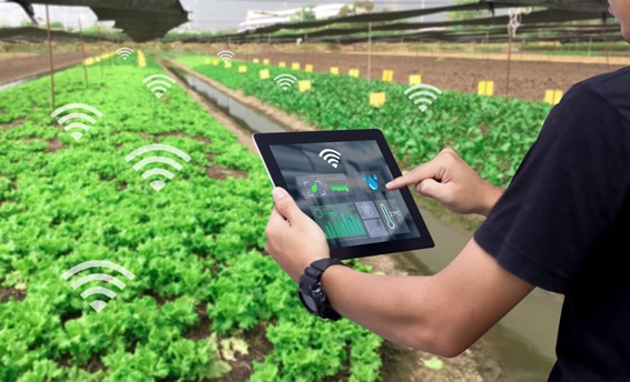 Agricultura ainda engatinha na transformação digital