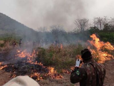 Pesquisadores já avaliam formas de recuperar o Pantanal de MS após queimadas