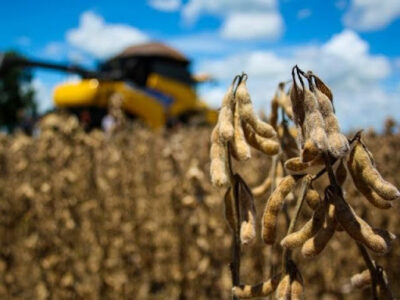 Abiove eleva estimativas de produção e exportação de soja do Brasil
