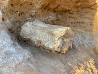 Descoberta de fóssil de dinossauro paralisa obras de duplicação de rodovia entre Marília e Julio Mesquita