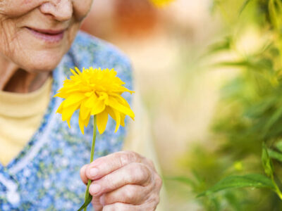 7 dicas práticas para garantir a saúde dos idosos na Primavera
