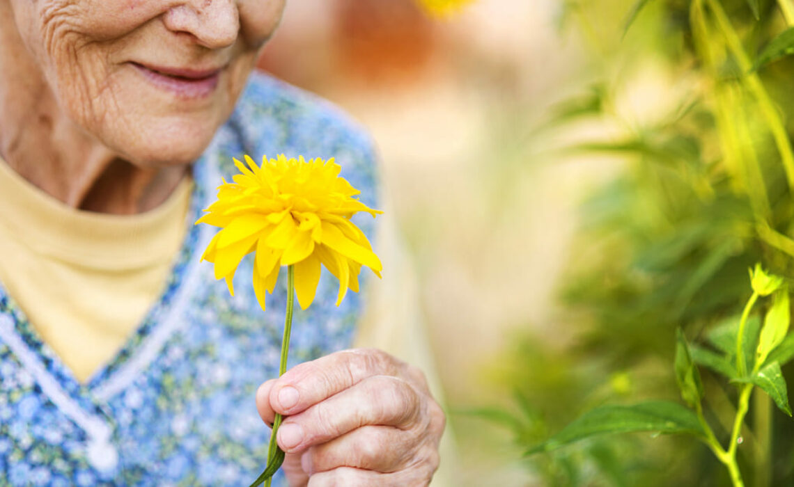 7 dicas práticas para garantir a saúde dos idosos na Primavera
