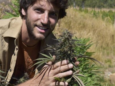 Startup brasileira de cannabis medicinal recebeu mais de 20 propostas em rodada na Colômbia
