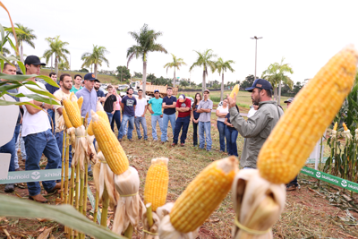 Engenharia Agronômica da Unimar realiza<br>o 1º Dia de Campo do Milho