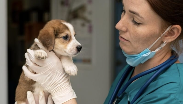 Campanha alerta sobre a doença renal crônica em cães e gatos. Previna seu amigo