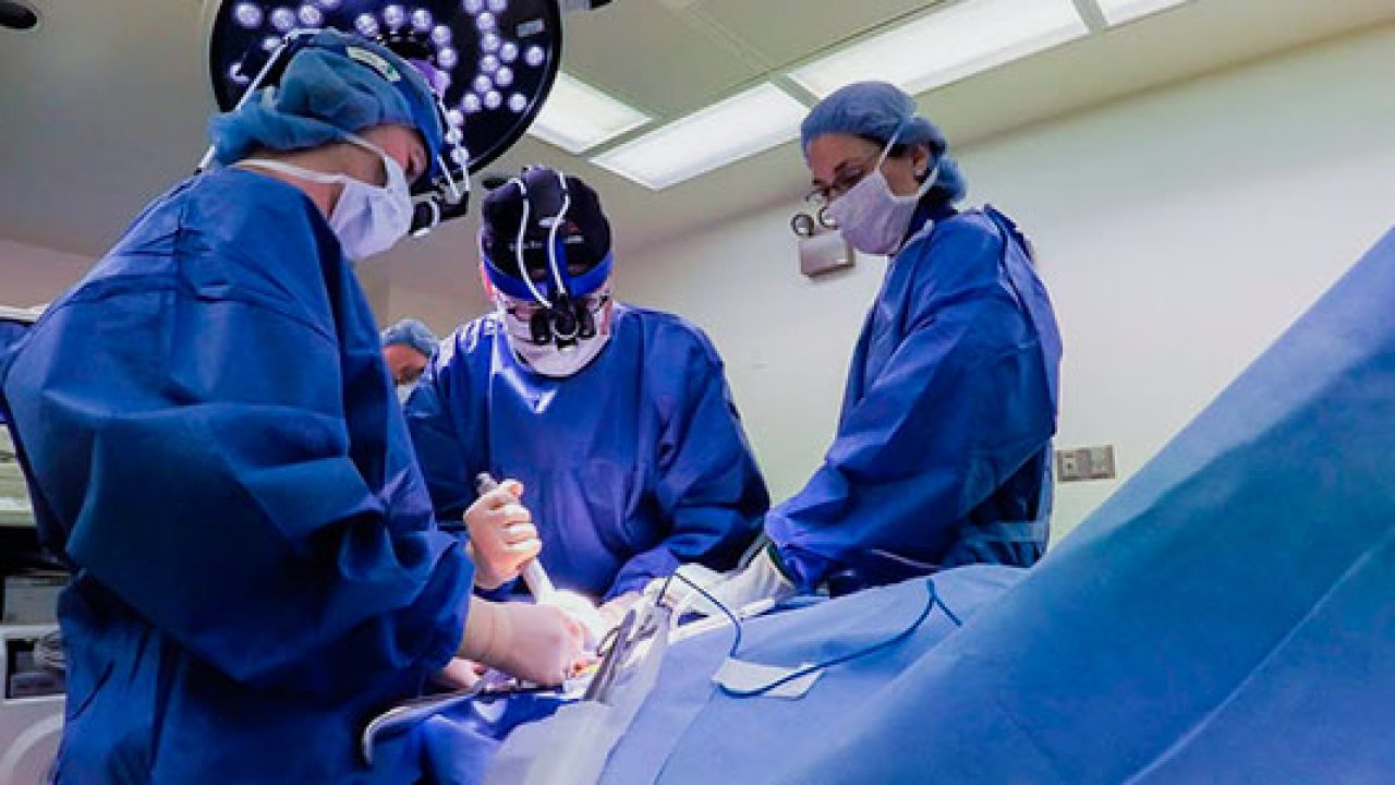 Cirurgia minimamente invasiva da coluna é destaque em Congresso Brasileiro