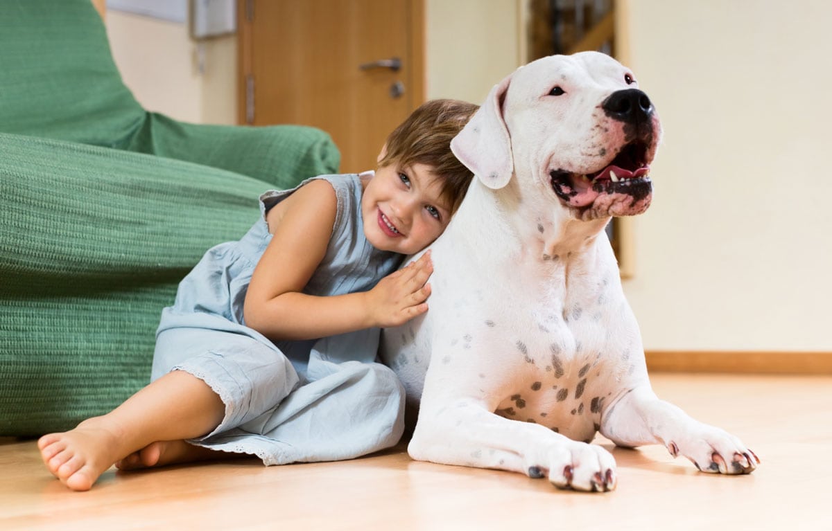 A relação das crianças com Pets