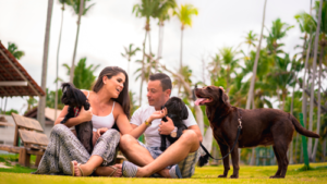 Você é pai ou mãe de pet? Confira soluções gratuitas à causa animal para famílias com filhos de quatro patas