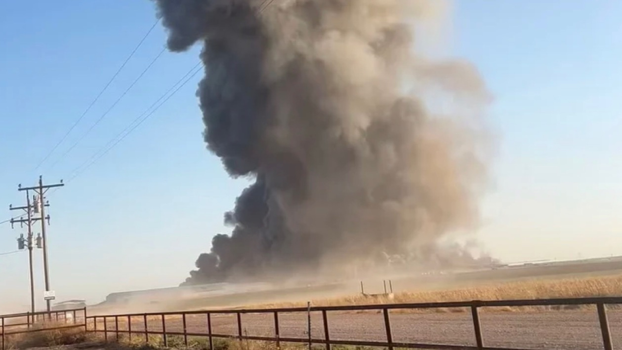 Explosão mata 18 mil vacas, puns e arrotos delas devem estar por trás da tragédia. Veja Vídeo!