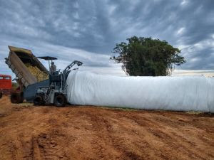 Nova embolsadora autopropelida torna o armazenamento de silagem versátil e eficiente