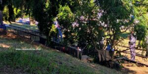 Bombeiros conseguem convencer rapaz a não pular de viaduto em Marília