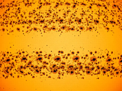 Destaque da NASA: manchas solares estão na foto astronômica do dia