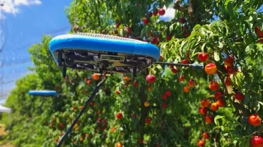 Drone que reconhece e colhe maçãs é usado no Chile por falta de mão de obra