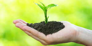 Efeitos psicológicos das mudanças climáticas e comportamentos pró-sustentabilidade ambiental