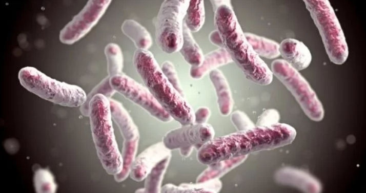 Estudo aponta que novas superbactérias estão surgindo em hospitais do Brasil; veja como se prevenir