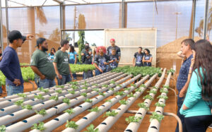 Cursos de Ciências Agrárias da Unimar receberam 280 alunos das escolas técnicas agrícolas da região. Conheceram a metodologia de ensino e todos os laboratórios de práticas, incluindo a Fazenda Experimental