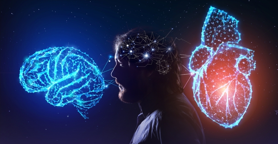 Ferramenta online avalia aspectos cognitivos e de personalidade relacionados à inteligência emocional