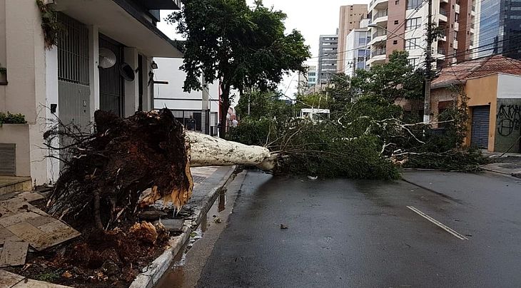 Defesa Civil alerta para ventos de 90 km/h em São Paulo