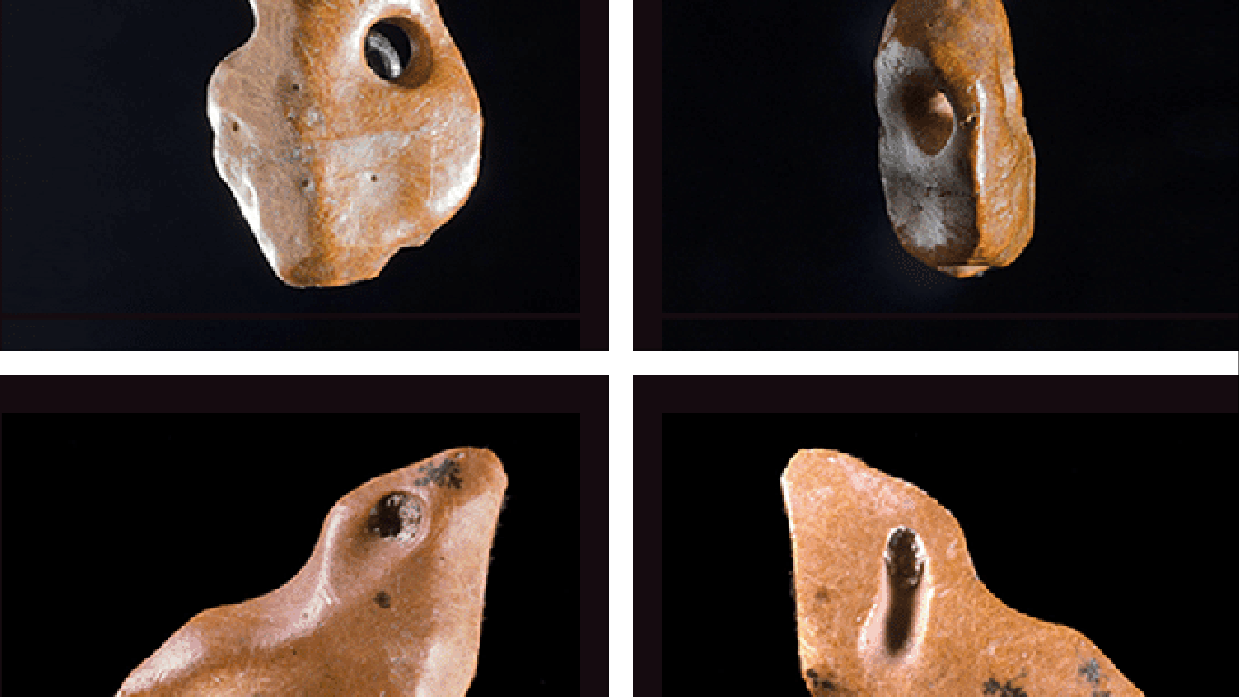 Ossos de preguiça gigante provam que humanos chegaram no Brasil há 25 mil anos