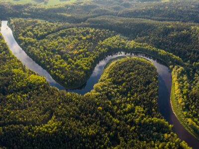 Bioeconomia florestal se mostra como futuro sustentável para comunidades da Amazônia