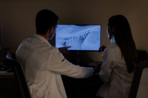 Cuidado com os pets: a importância de levar seu bichinho em um centro veterinário completo