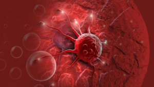 Pesquisa descobre tempero que tem efeito protetor contra o câncer