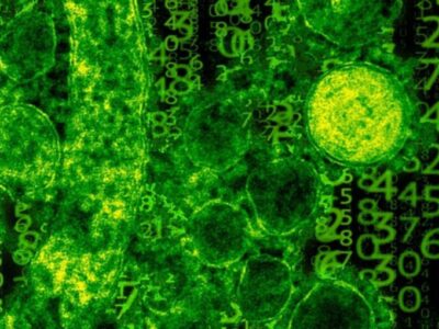 Brasil pode ter casos da ameba comedora de cérebros, diz cientista
