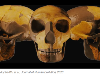 Fóssil na China é diferente de qualquer hominídeo já descoberto
