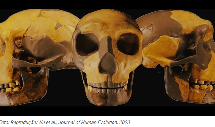 Fóssil na China é diferente de qualquer hominídeo já descoberto
