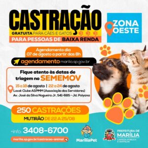 Zoonoses de Marília prepara castração gratuita de cães e gatos da zona Oeste