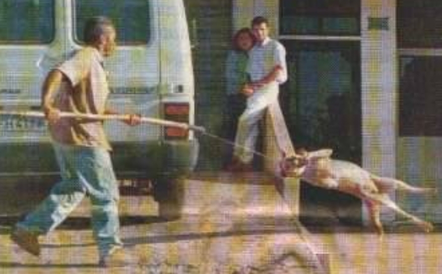 Olha a carrocinha!!! Prefeitura fará captura e recolhimento de cães e gatos em todos bairros de Marília. Só não está clero o destino certo dos animais