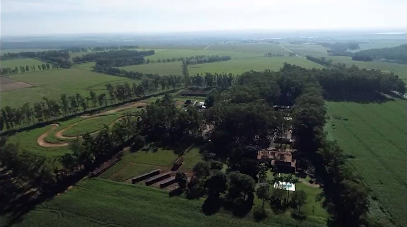 Propriedade paranaense tem redução de custos na agricultura e alta produtividade na pecuária com ILPF