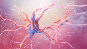 Manter a concentração não depende só da força de vontade