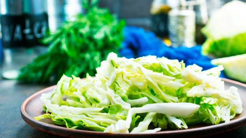 Saladas prontas e pré-higienizadas podem conter bactérias coliformes