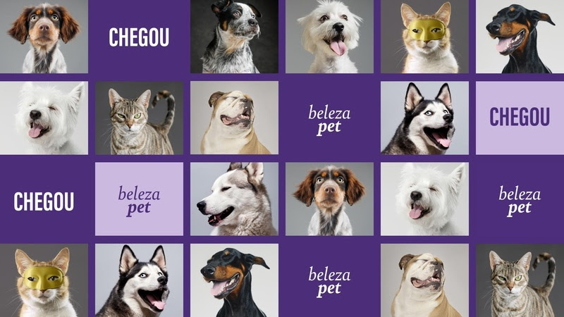 Beleza na Web amplia seu portfólio com categoria Pet